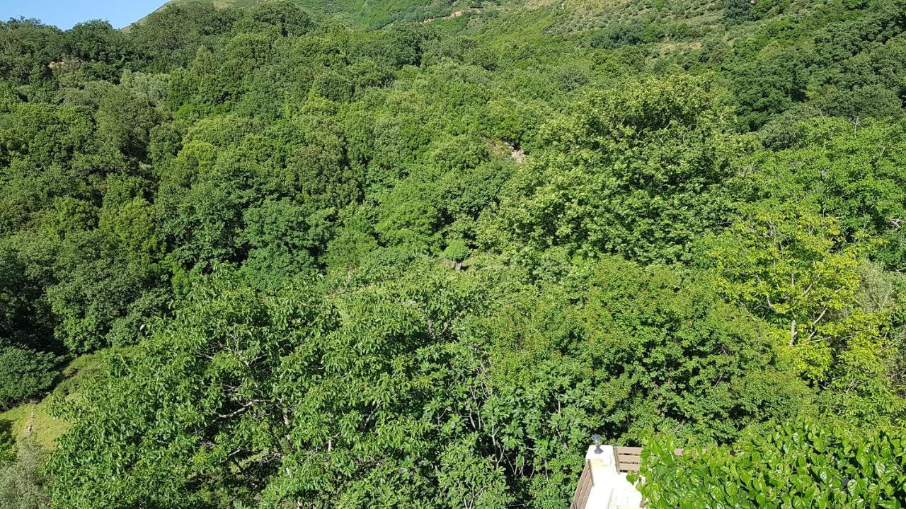 Irini΄S House Villa Alonai Екстериор снимка